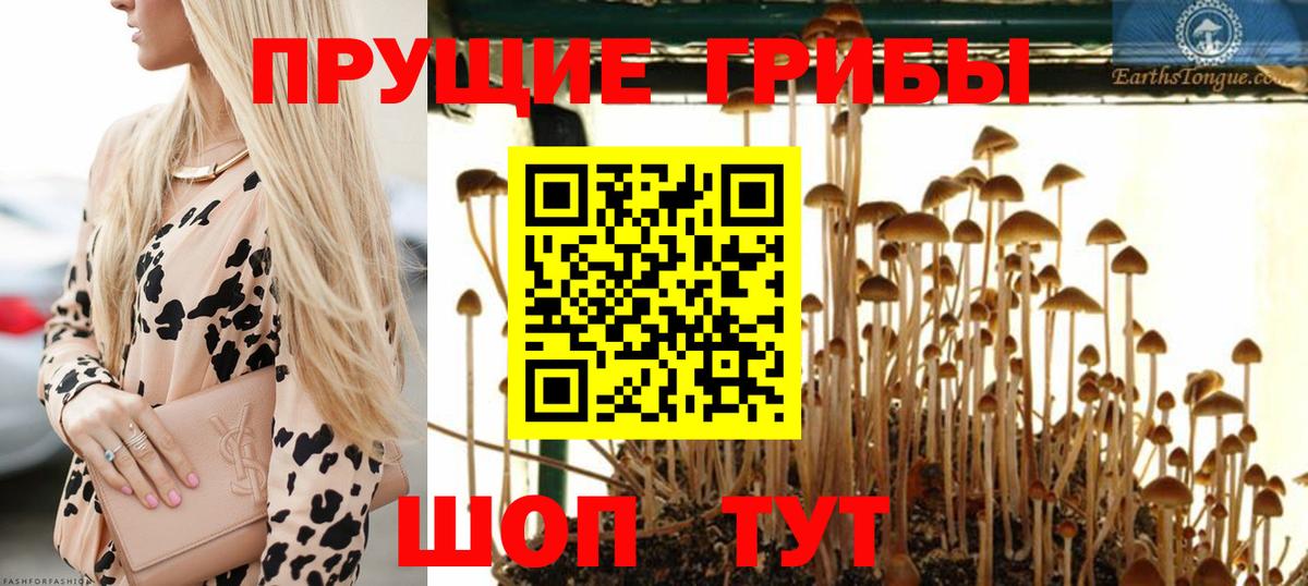 Десногорск  Псилоцибиновые грибы прущие грибы  Вход с VPN  наркота  Псилоцибиновые грибы прущие грибы 